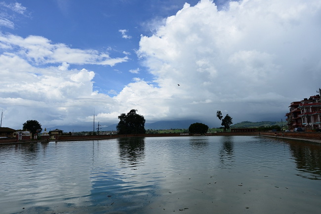 807_9585.jpg
