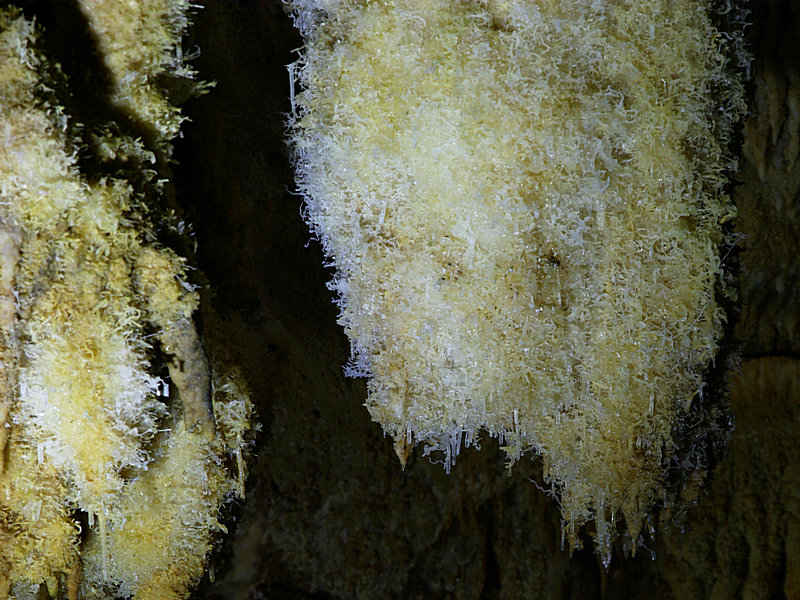 IMGP5679.jpg