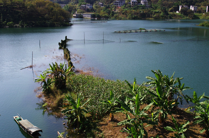 IMGP0154.jpg
