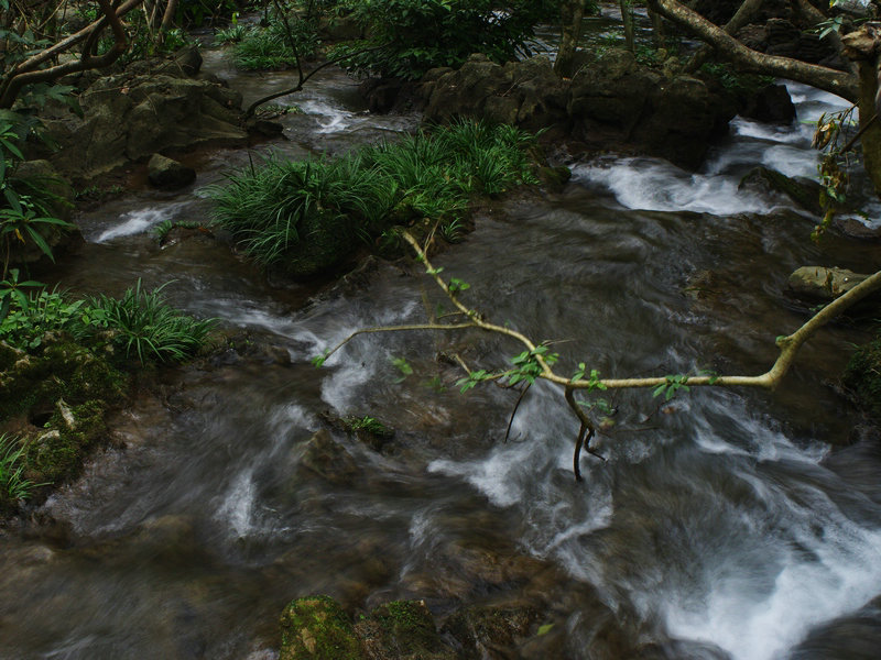 IMGP0076.jpg