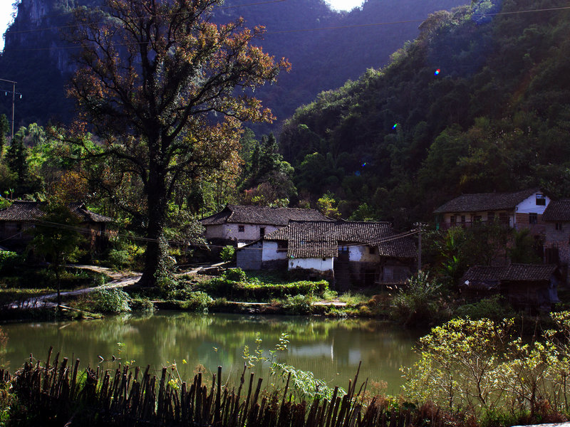 IMGP0034.jpg