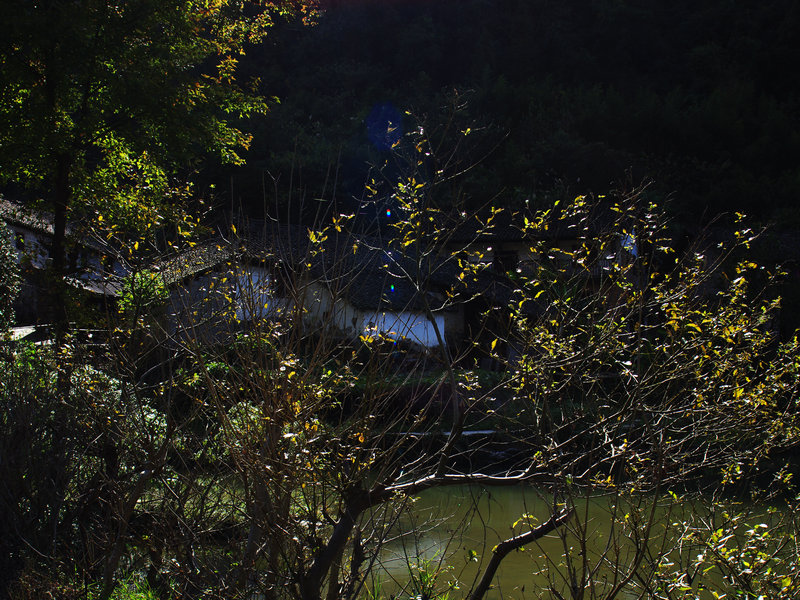 IMGP0054.jpg