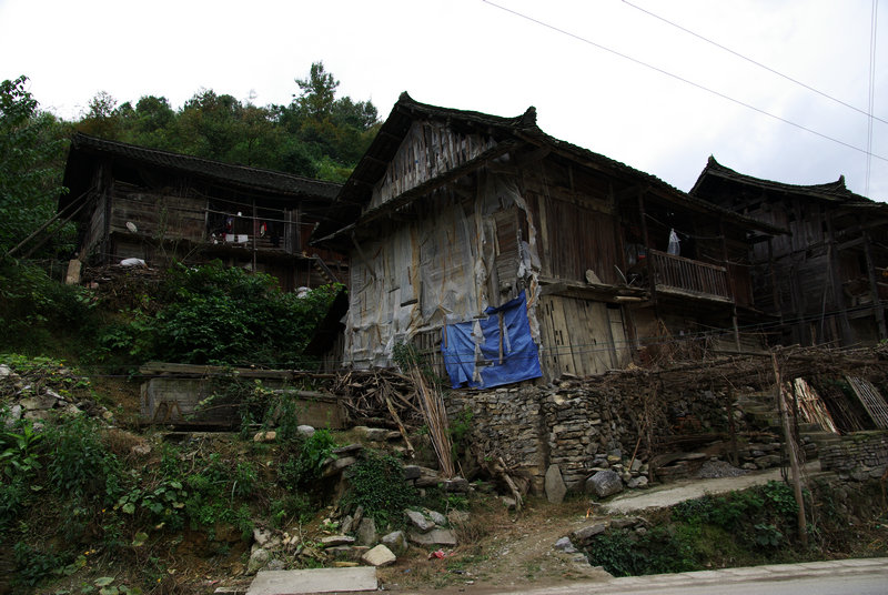 IMGP5779.jpg