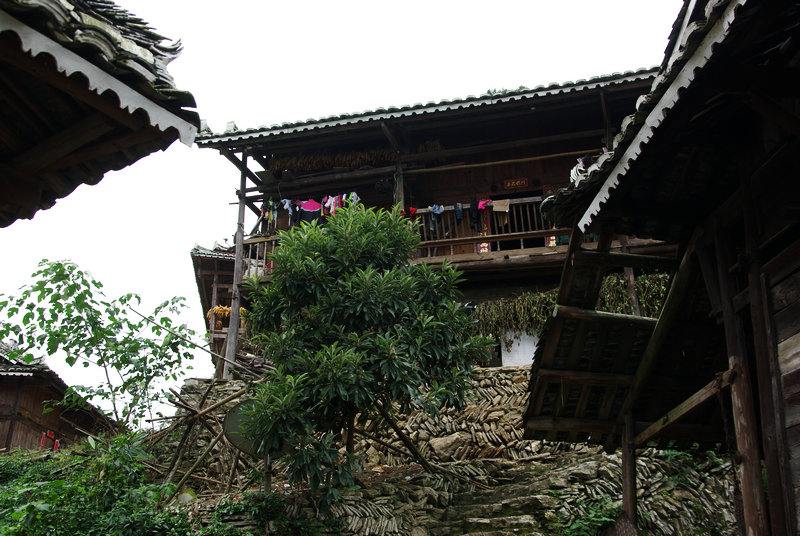 IMGP5798.jpg
