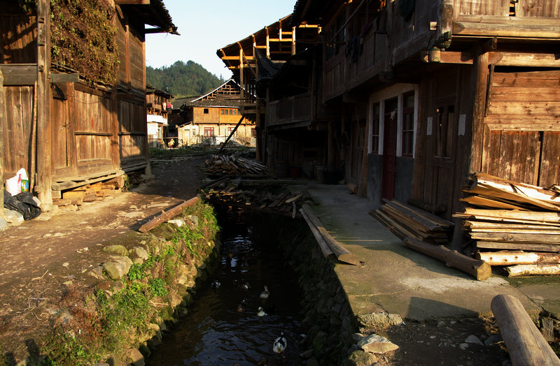 IMGP5997.jpg