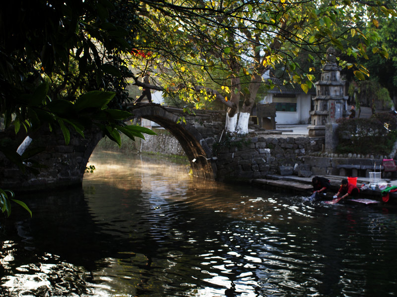 IMGP0117.jpg