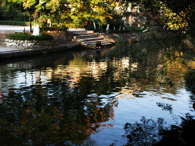 IMGP0120.jpg