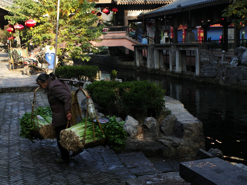 IMGP0149.jpg