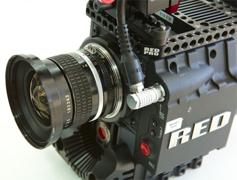RED-Canon-Nikon.jpg