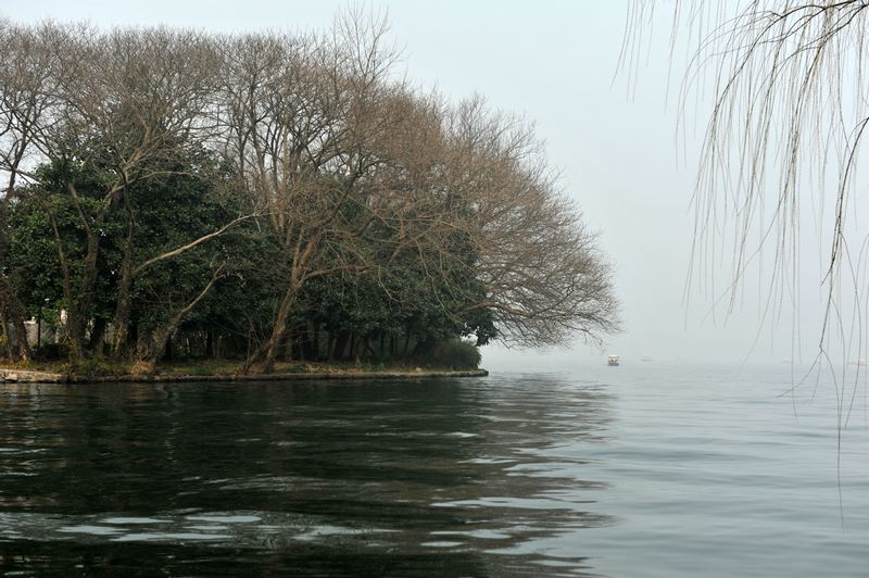 DSC_5850.jpg
