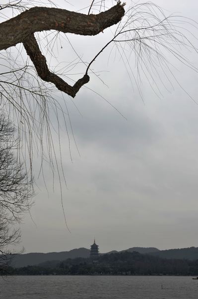 DSC_6767.jpg