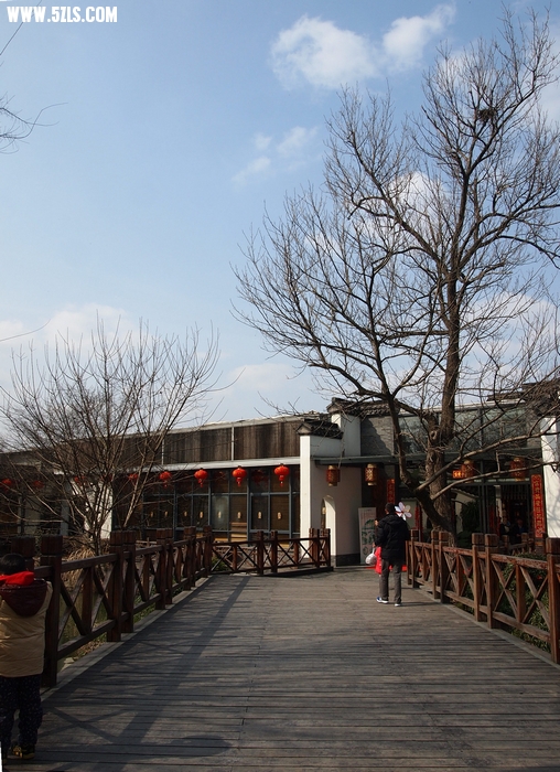P2043605.JPG