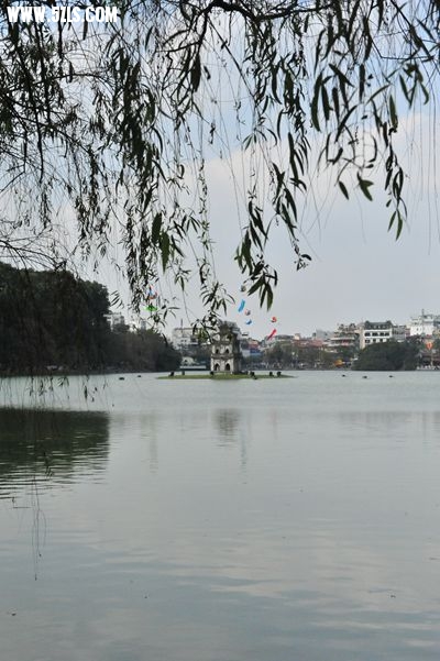 DSC_3417_.jpg