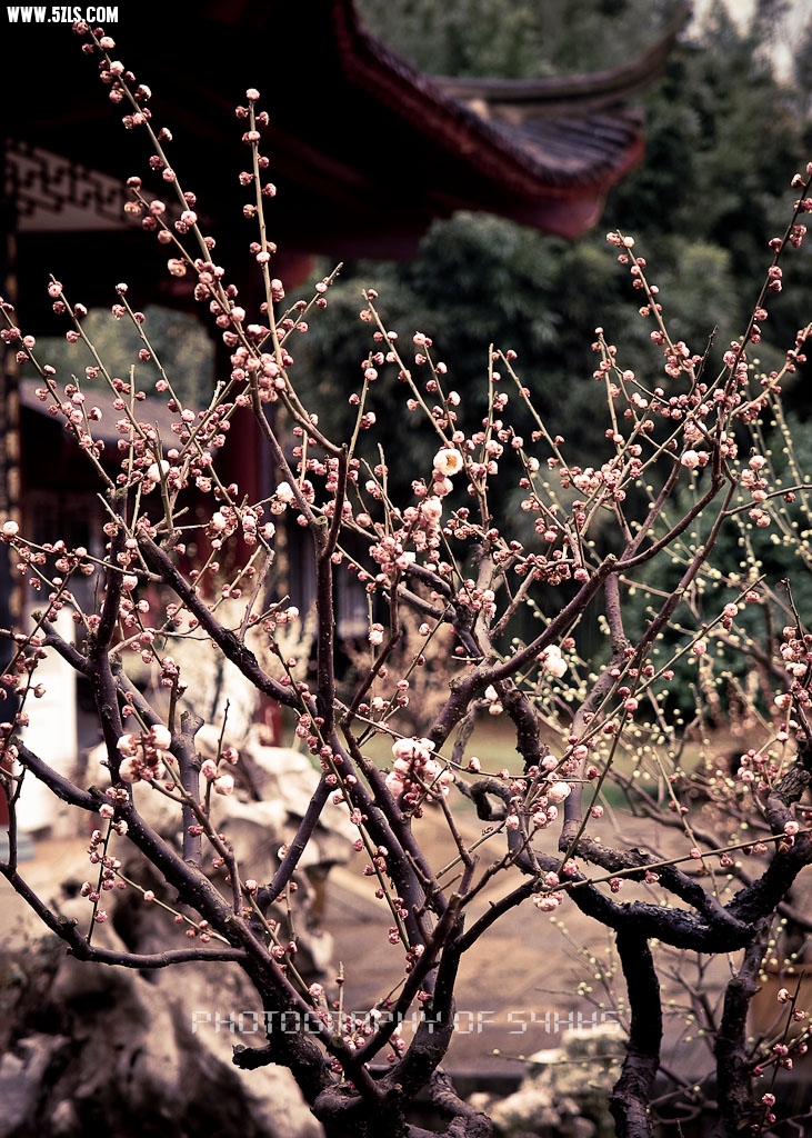 P2184728.jpg