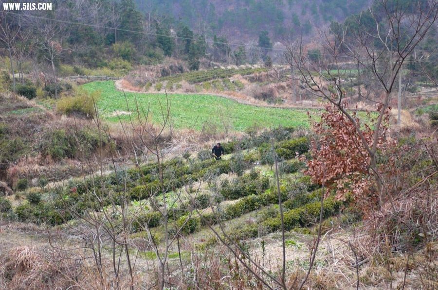 P1170377.JPG