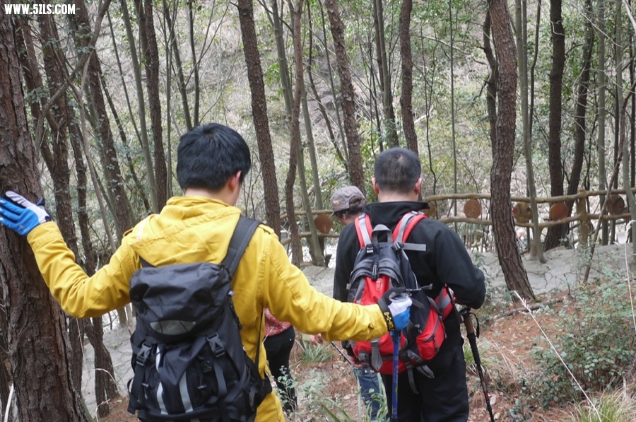 P1170635.JPG