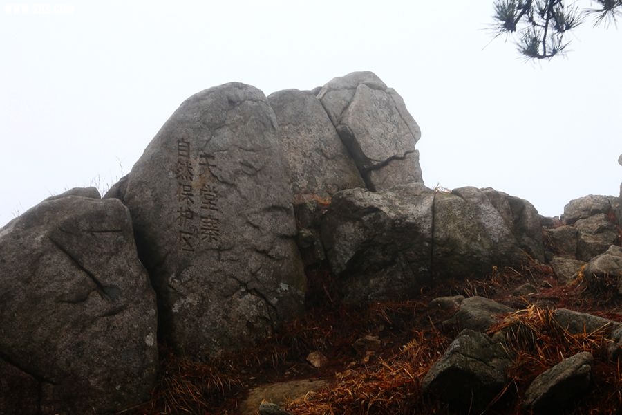 169.jpg