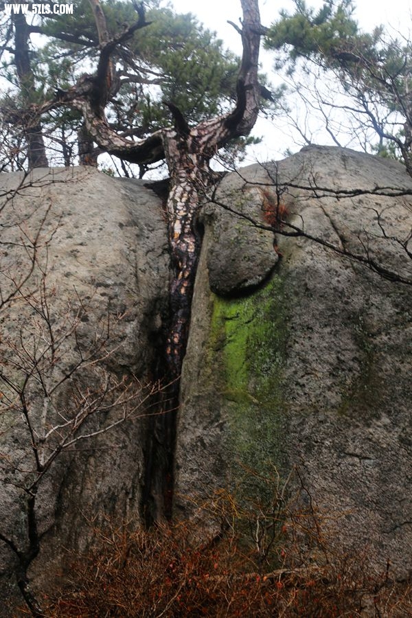 175.jpg