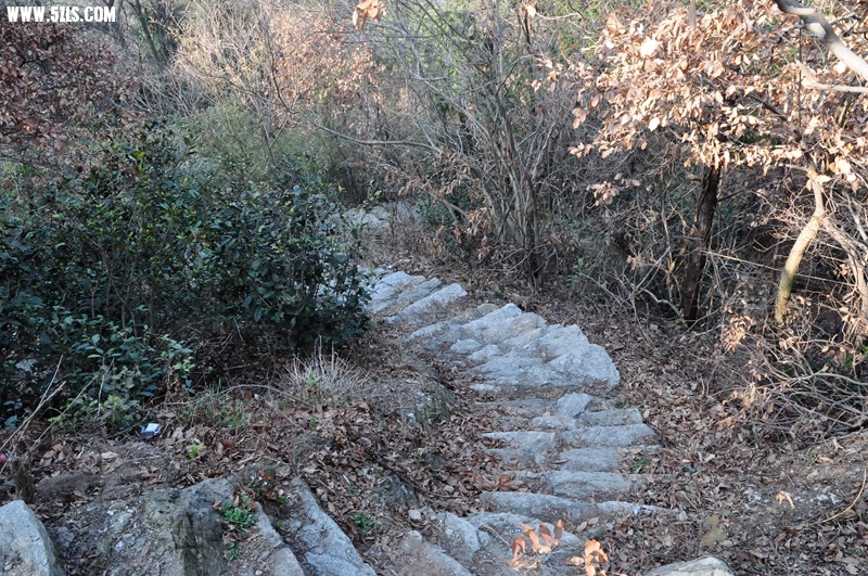 DSC_0104.JPG