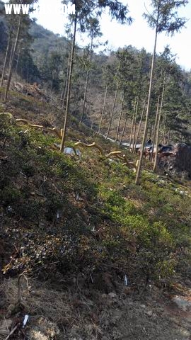 С IMG_20140316_100026.jpg