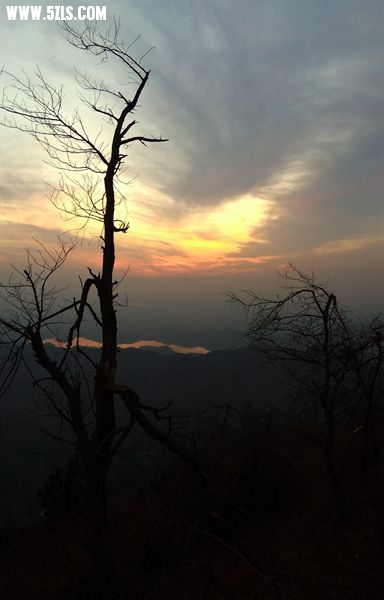 IMG_20140315_183657_.jpg