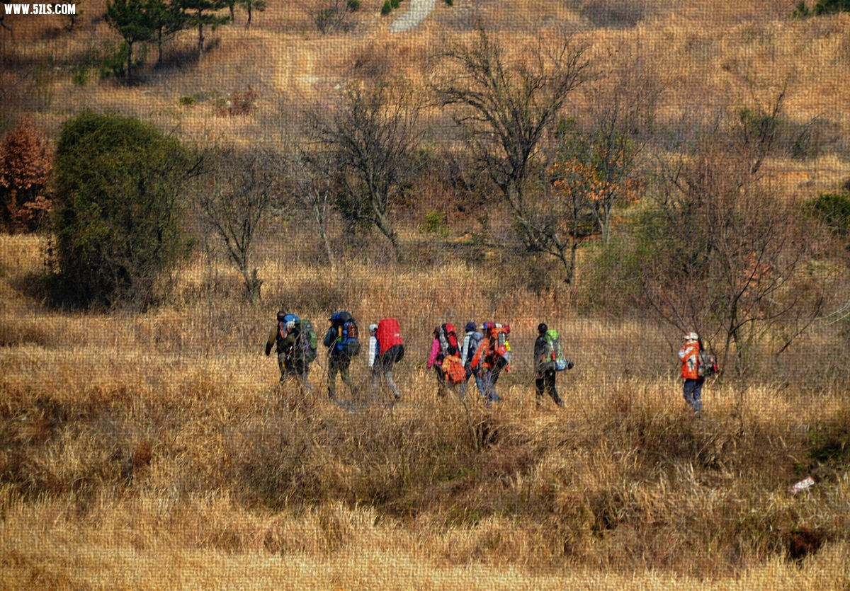 DSC_4401___.jpg