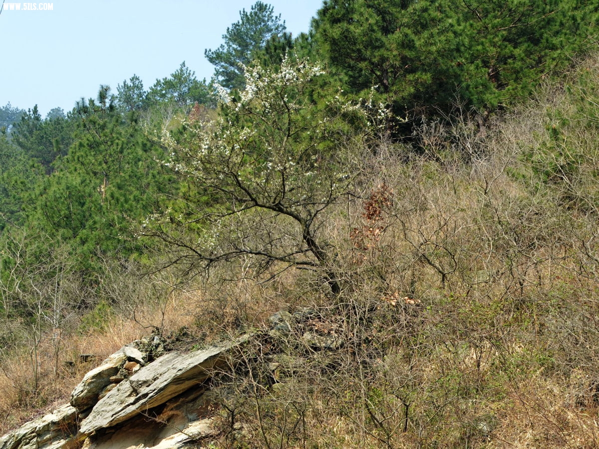 DSC_4605__.jpg