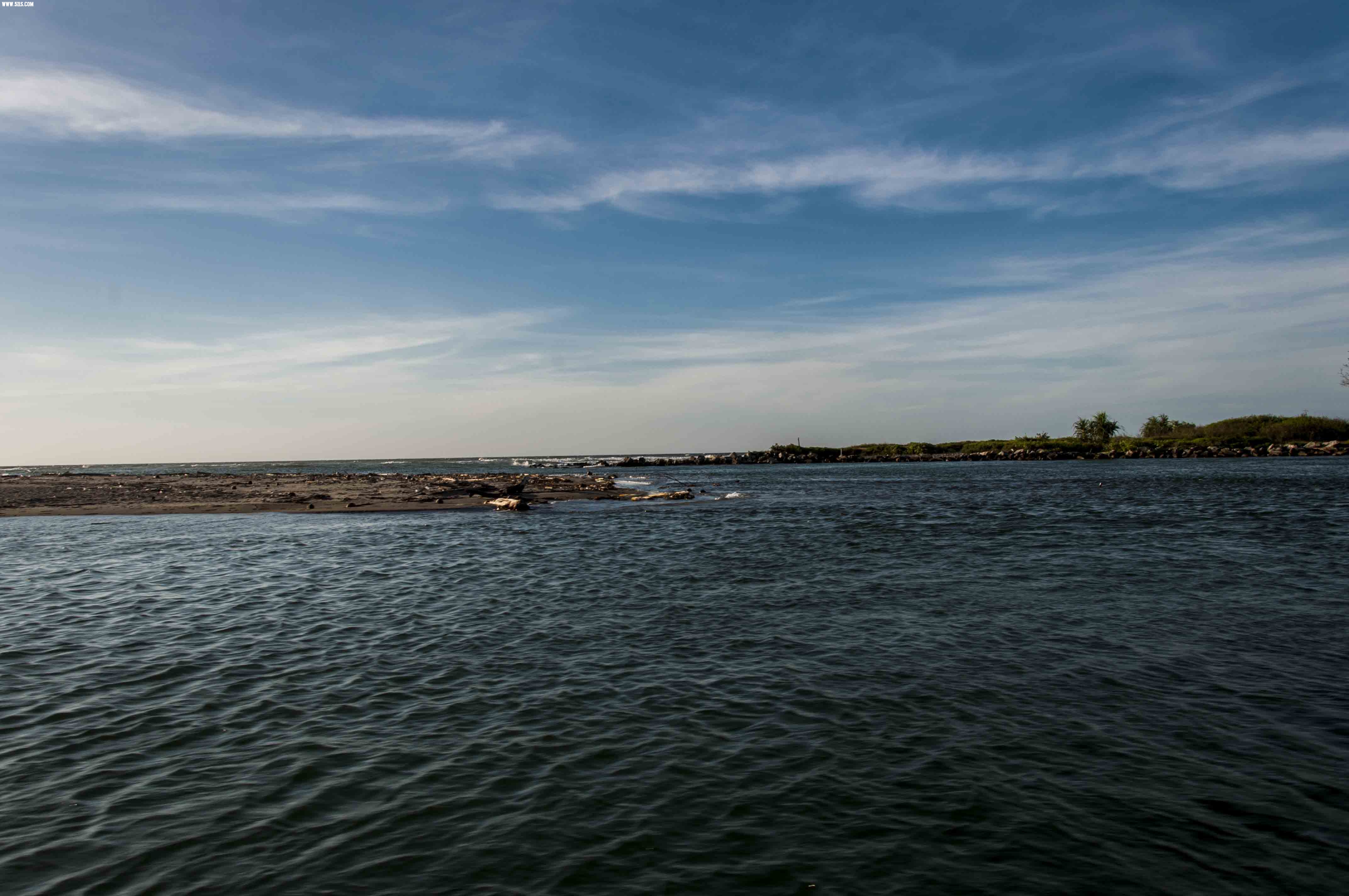 DSC_0451.jpg