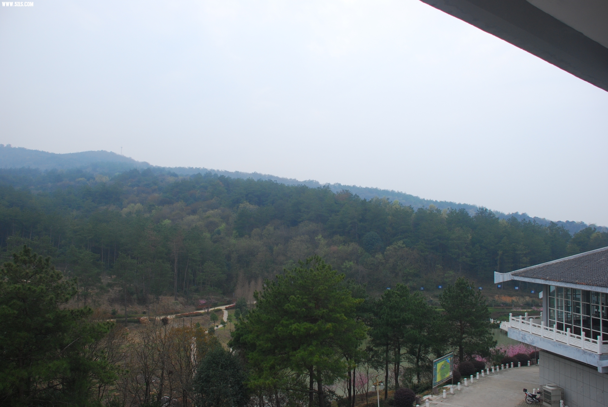DSC_9526.JPG