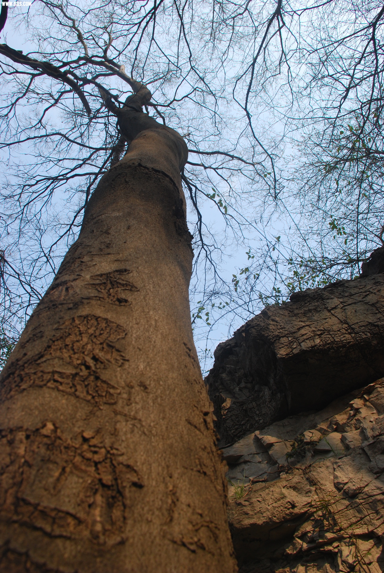 DSC_9536.JPG