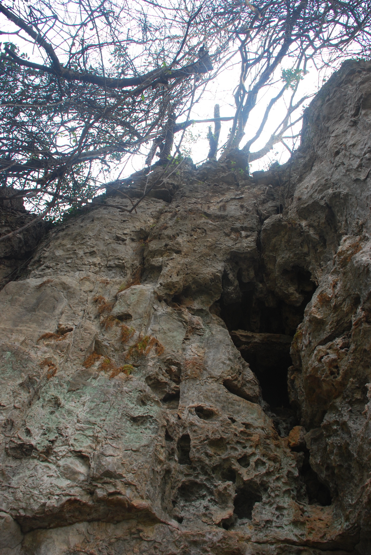 DSC_9542.JPG