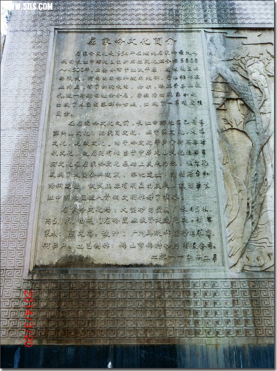 CIMG7316.JPG