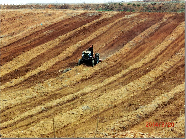 CIMG7451.JPG