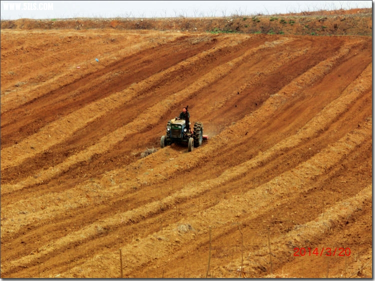 CIMG7452.JPG