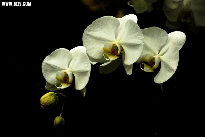 DSC_2691.JPG