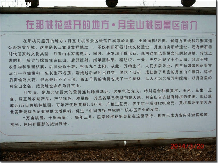 CIMG7554.JPG