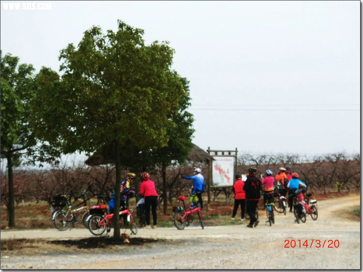CIMG7555.JPG