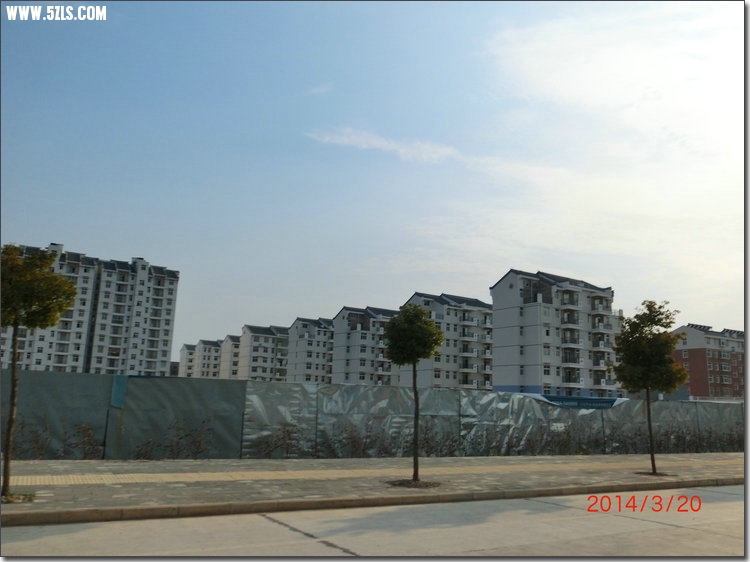 CIMG7594.JPG