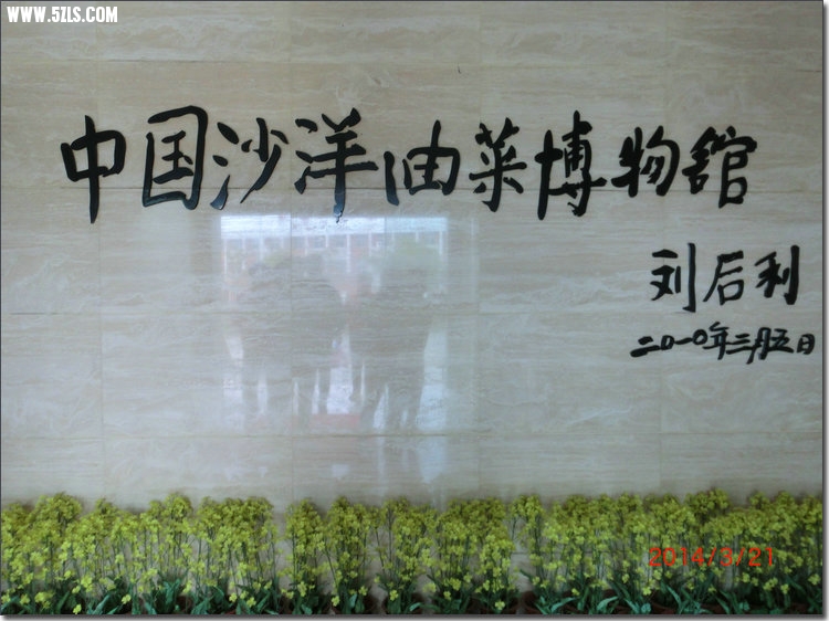 CIMG7666.JPG
