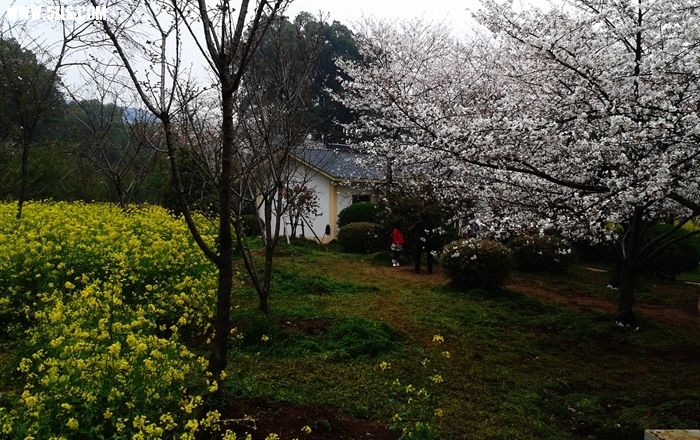 2014-03-23 16.26.54.jpg