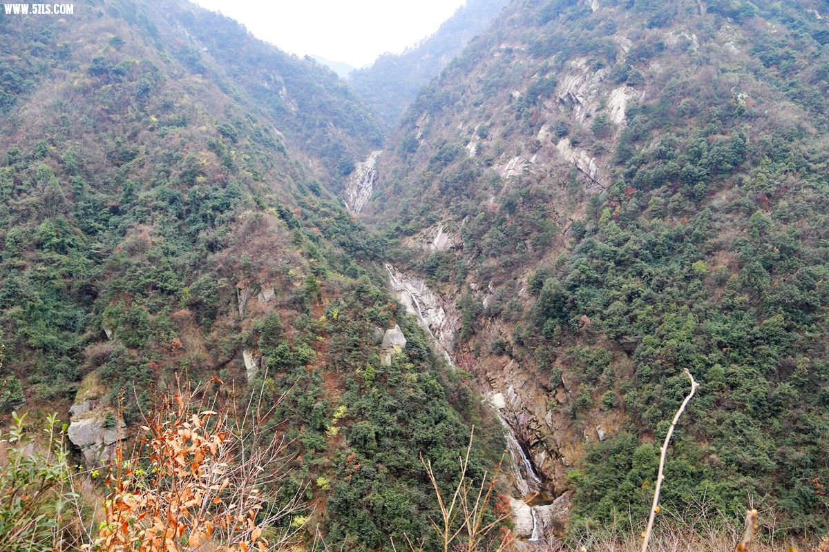 IMG_3050.jpg