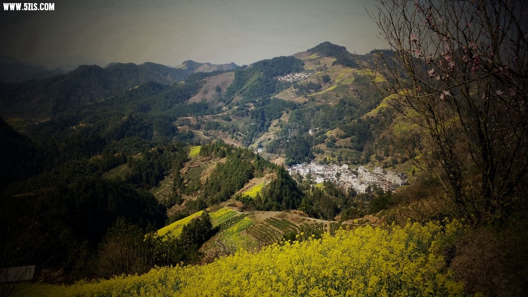 20140322_095506_副本.jpg