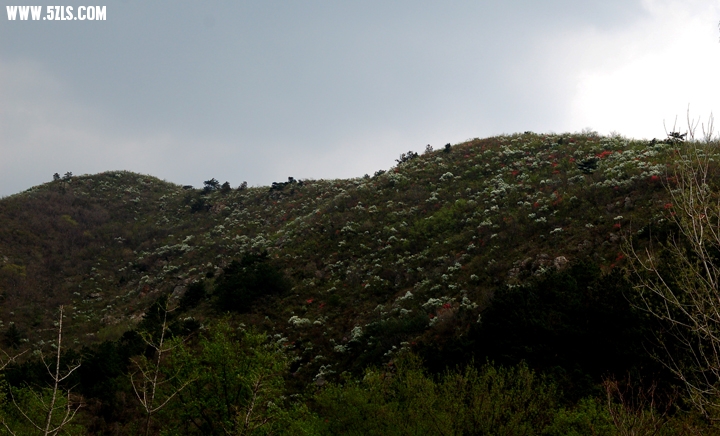 DSC_0011.jpg