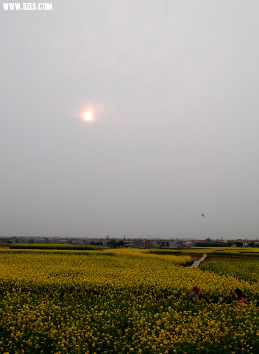 DSC_0032.jpg
