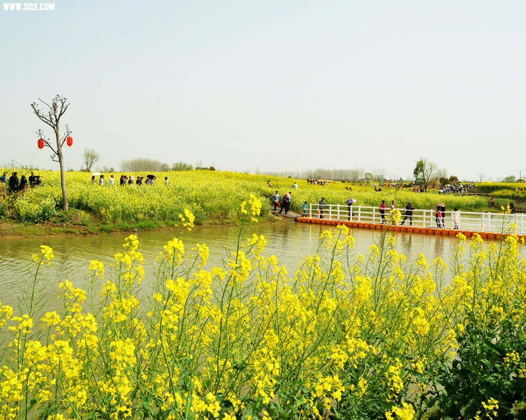 DSC_4929__.jpg