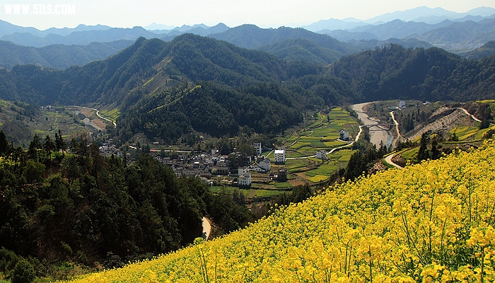 _MG_4381a_副本.jpg