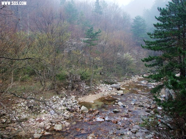 DSCF2125.JPG