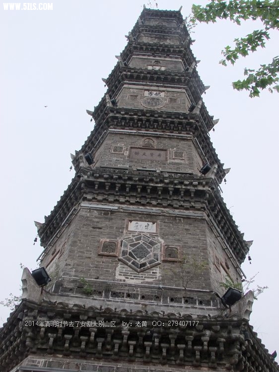 DSCF2290.JPG