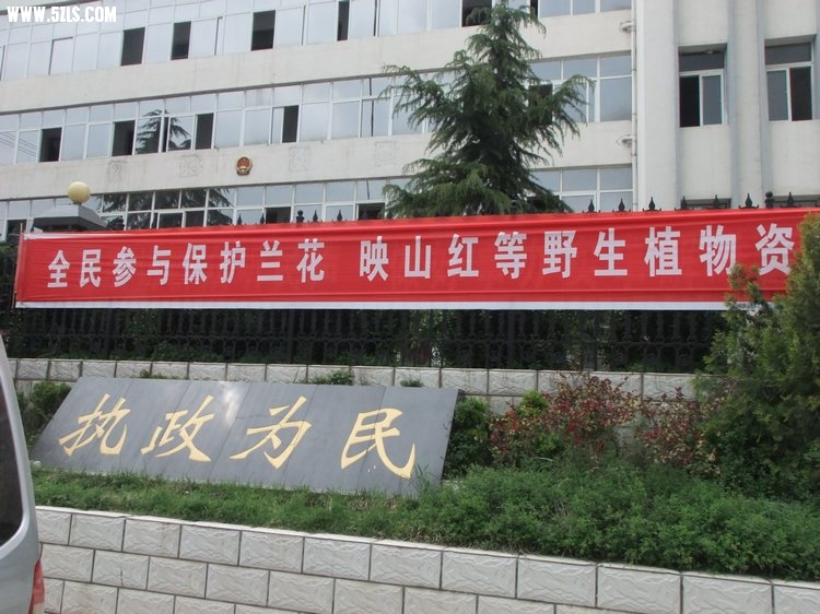 DSCF2353.JPG