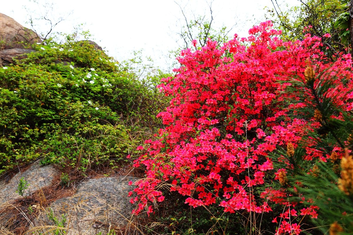 IMG_4792.jpg